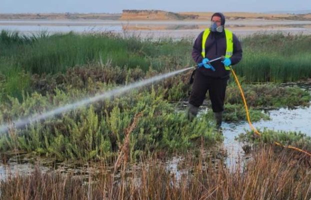 ΣΥΝΕΧΙΖΟΝΤΑΙ ΟΙ ΨΕΚΑΣΜΟΙ ΚΑΤΑ ΤΩΝ ΚΟΥΝΟΥΠΙΩΝ ΣΤΗ ΛΑΡΝΑΚΑ