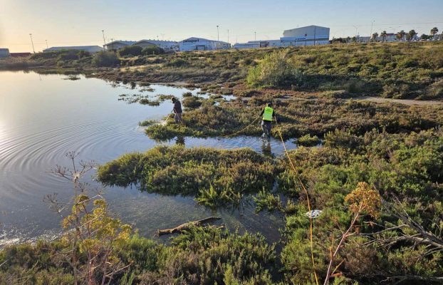 ΣΥΝΕΧΙΖΟΝΤΑΙ ΟΙ ΨΕΚΑΣΜΟΙ ΚΑΤΑ ΤΩΝ ΚΟΥΝΟΥΠΙΩΝ ΣΤΗ ΛΑΡΝΑΚΑ